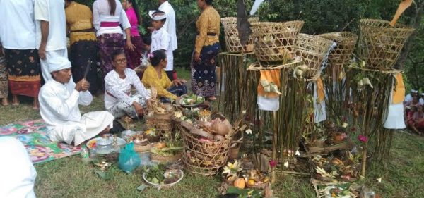 Persiapan Krama Adat Dusun Kebaloan sebelum pengerupukan.