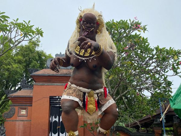 INI KISAH MADU SEGARA, OGOH-OGOH KARANG KECICANG!